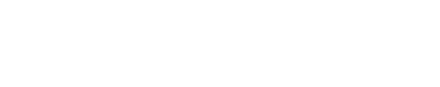 logosantaamelia